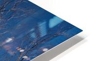 1181 HD Metal print