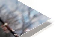 0702 HD Metal print