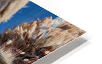 1143 HD Metal print