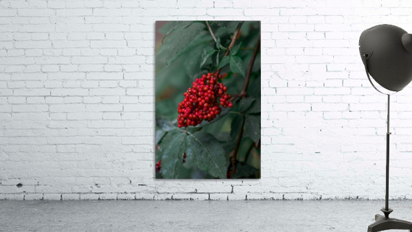 berries Wall Preview