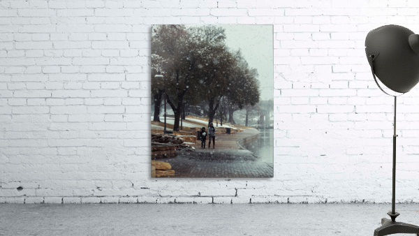Through The Park Wall Preview