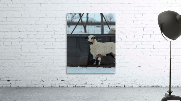158 Wall Preview
