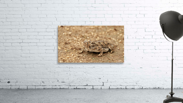 4688 Wall Preview