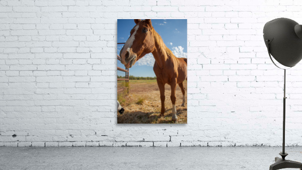 12 Wall Preview