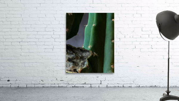30102 Wall Preview