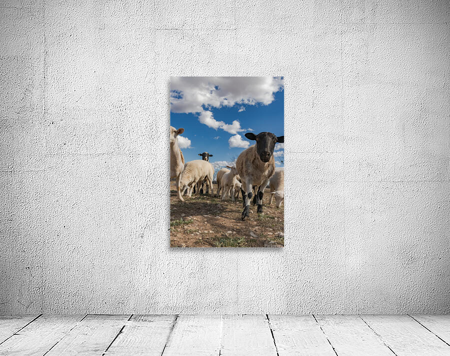 0889 Wall Preview