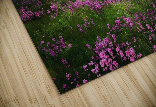 Stunning landscape Article plus puzzle