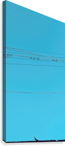 Blue sky Canvas Print