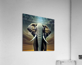 The Elephant Acrylic Print