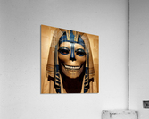 A Mummy Acrylic Print