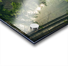               3Majestic Lion in the Enchanted Forest Acrylic print