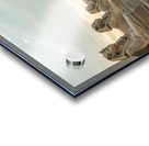                                      Queen of the Nile Acrylic print