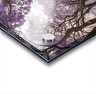                                   2Purple Blossom Pathway Acrylic print