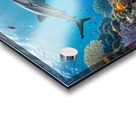                                 Underwater Paradise  1 Acrylic print