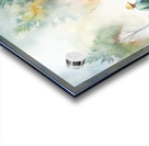                                    Tranquil Reflections Acrylic print