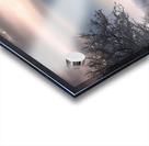               Solitary Horse in a Winter Wonderland       Acrylic print