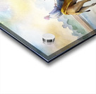                                         Desert Reflections Acrylic print