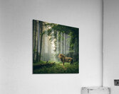               3Majestic Lion in the Enchanted Forest Acrylic Print