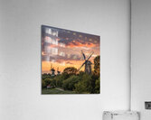 Whispers of the Wind Acrylic Print