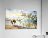                                         Desert Reflections Acrylic Print