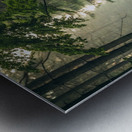               3Majestic Lion in the Enchanted Forest Metal print