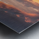 Whispers of the Wind Metal print