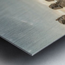                                      Queen of the Nile Metal print