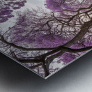                                   2Purple Blossom Pathway Metal print
