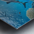                                 Underwater Paradise  1 Metal print