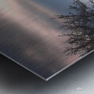               Solitary Horse in a Winter Wonderland       Metal print