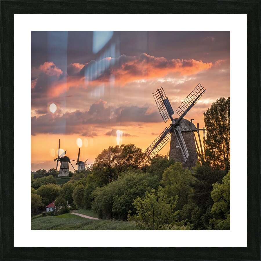 Whispers of the Wind Picture Frame print