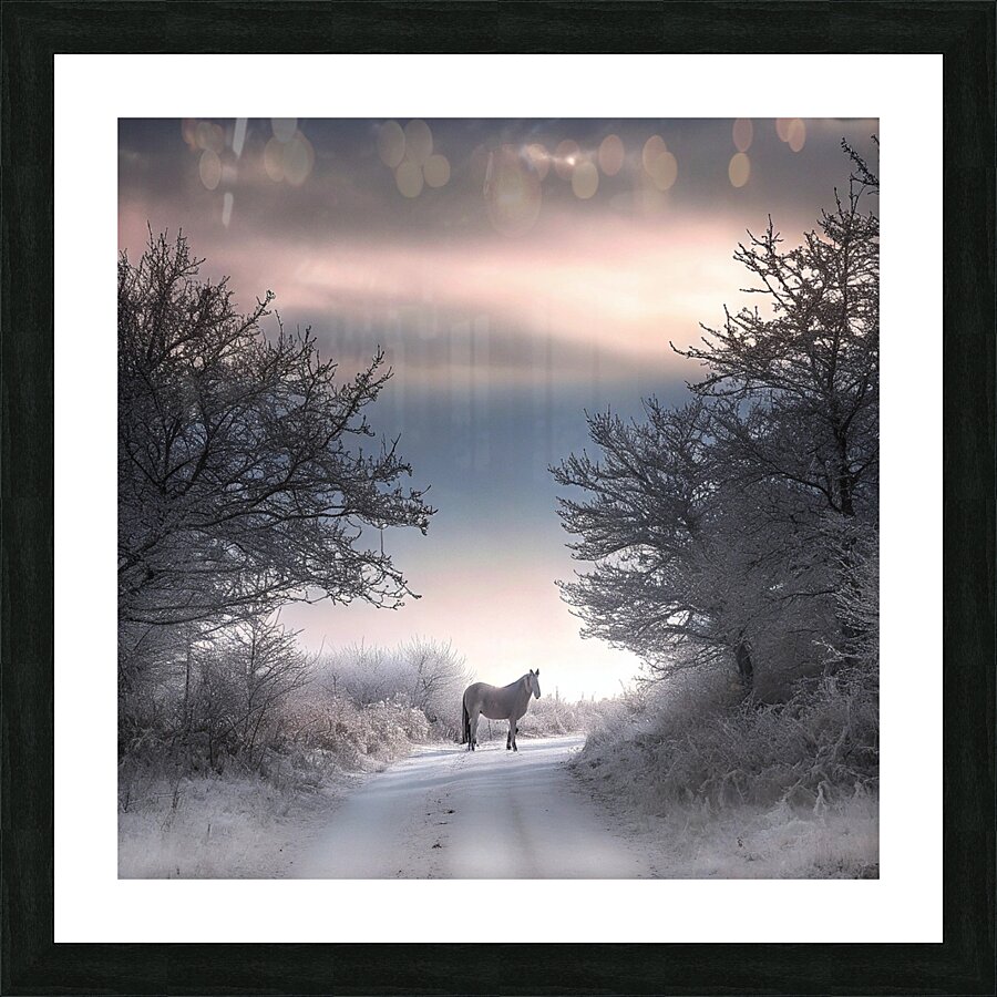               Solitary Horse in a Winter Wonderland       Picture Frame print