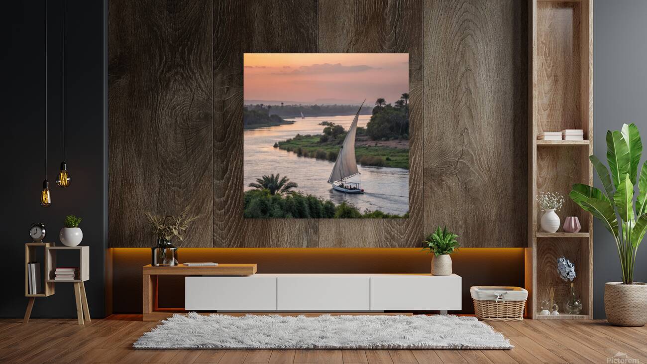 Sailing into the Sunset Reproduction