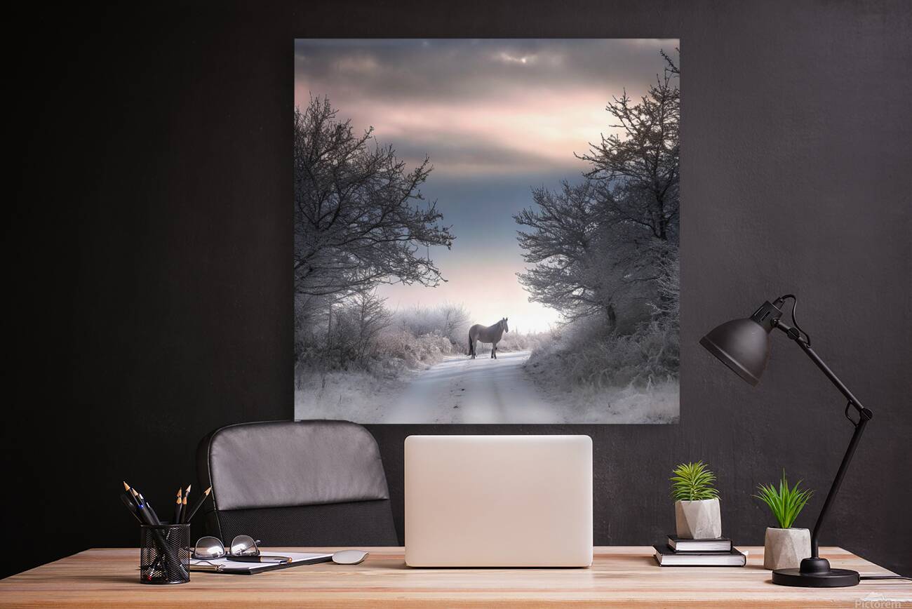               Solitary Horse in a Winter Wonderland       Reproduction