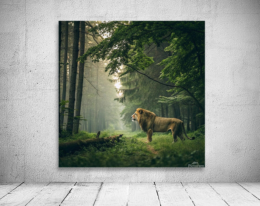               3Majestic Lion in the Enchanted Forest Wall Preview