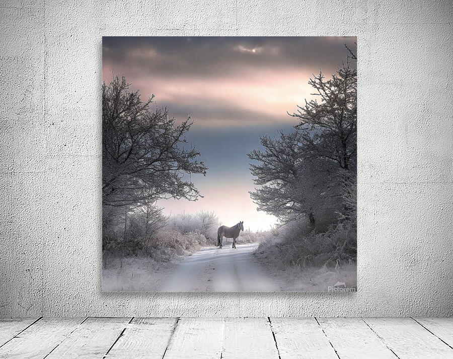               Solitary Horse in a Winter Wonderland       Wall Preview