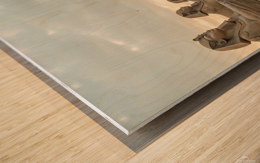                                      Queen of the Nile Wood print