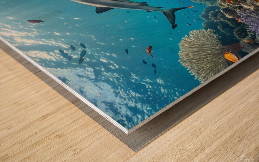                                 Underwater Paradise  1 Wood print