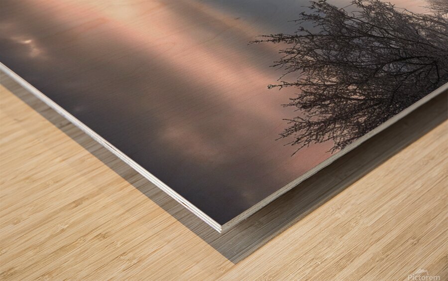               Solitary Horse in a Winter Wonderland       Wood print