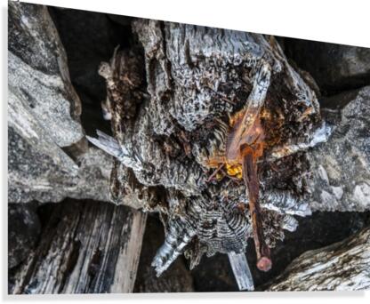 Shore pile 9 Canvas Print