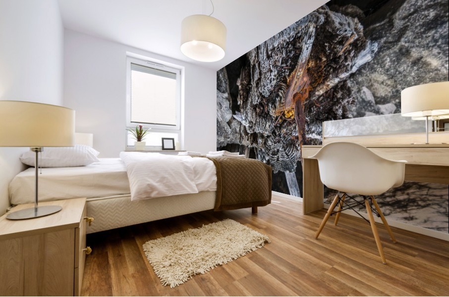 Shore pile 9 Mural print