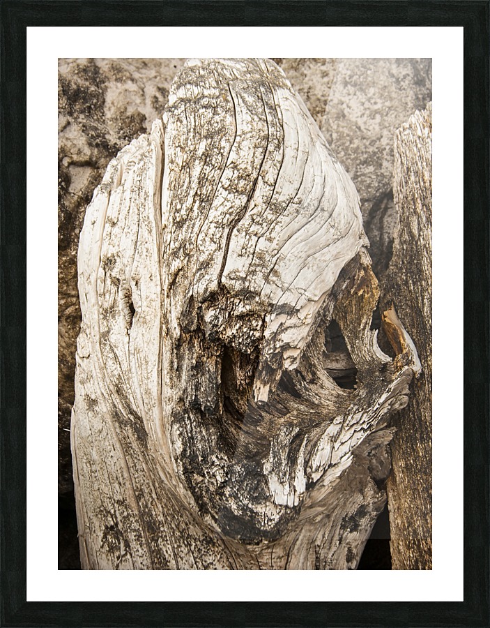 Shore pile 2 Picture Frame print