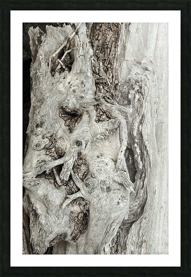 Shore pile 6 Picture Frame print