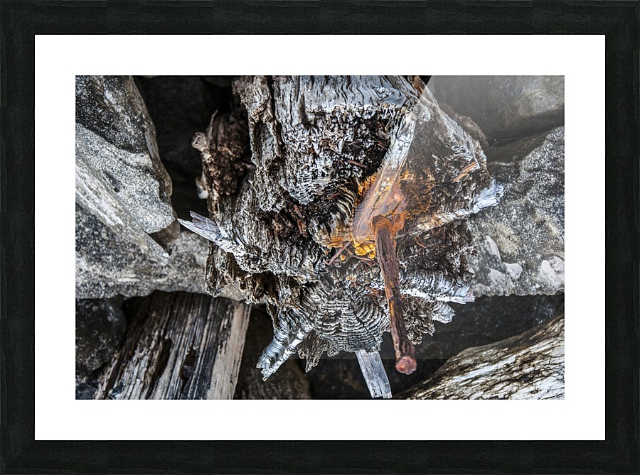 Shore pile 9 Picture Frame print