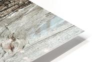 Shore pile 6 HD Metal print