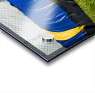 Dog agility Acrylic print