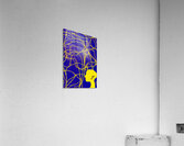 Thoughts Network Acrylic Print