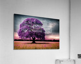 Ancient Savanah Acrylic Print