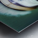 Akila Metal print