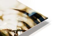 Zala HD Metal print